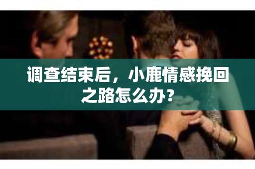 调查结束后，小鹿情感挽回之路怎么办？