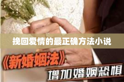 挽回爱情的最正确方法小说