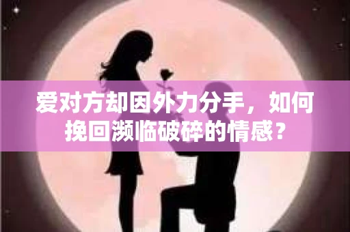 爱对方却因外力分手，如何挽回濒临破碎的情感？
