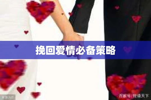 挽回爱情必备策略