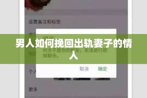男人如何挽回出轨妻子的情人