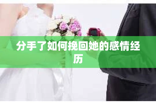 分手了如何挽回她的感情经历