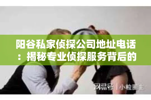 阳谷私家侦探公司地址电话：揭秘专业侦探服务背后的故事