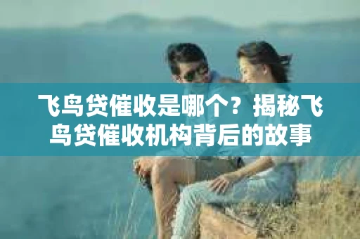 飞鸟贷催收是哪个？揭秘飞鸟贷催收机构背后的故事