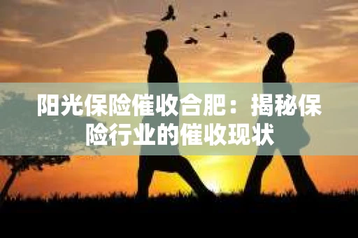 阳光保险催收合肥：揭秘保险行业的催收现状