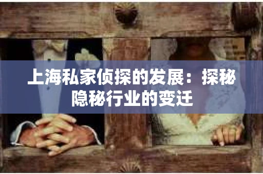 上海私家侦探的发展：探秘隐秘行业的变迁