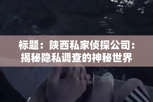 标题：陕西私家侦探公司：揭秘隐私调查的神秘世界
