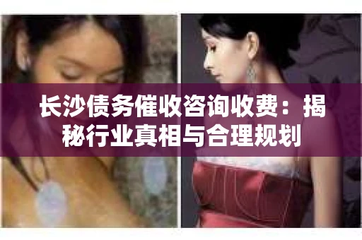 长沙债务催收咨询收费：揭秘行业真相与合理规划