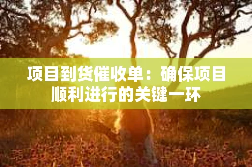 项目到货催收单：确保项目顺利进行的关键一环