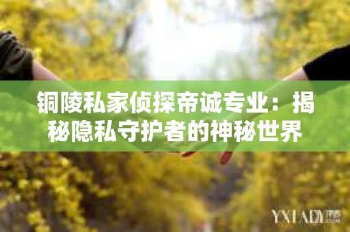 铜陵私家侦探帝诚专业：揭秘隐私守护者的神秘世界