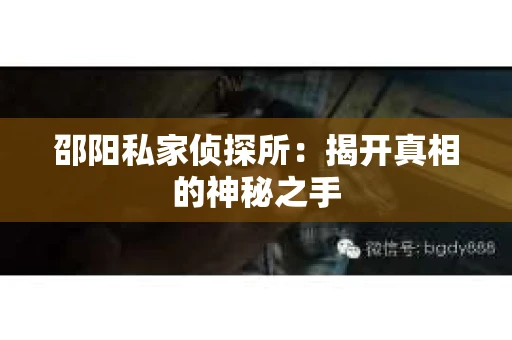 邵阳私家侦探所：揭开真相的神秘之手