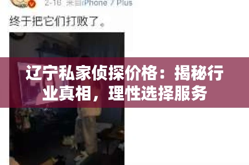 辽宁私家侦探价格：揭秘行业真相，理性选择服务