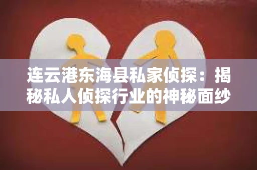 连云港东海县私家侦探：揭秘私人侦探行业的神秘面纱