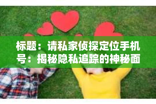 标题：请私家侦探定位手机号：揭秘隐私追踪的神秘面纱