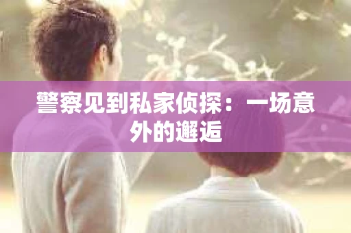 警察见到私家侦探：一场意外的邂逅