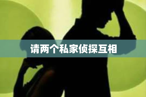 请两个私家侦探互相