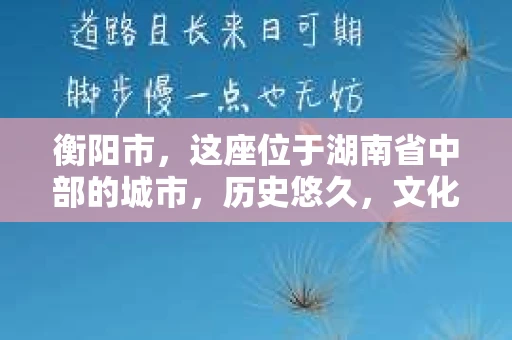 衡阳市，这座位于湖南省中部的城市，历史悠久，文化底蕴深厚。随着社会的发展，人们对于个人隐私的保护意识逐渐增强，私家侦探机构也应运而生。那么，衡阳市是否有私家侦探机构呢？今天，我们就来聊聊这个话题。