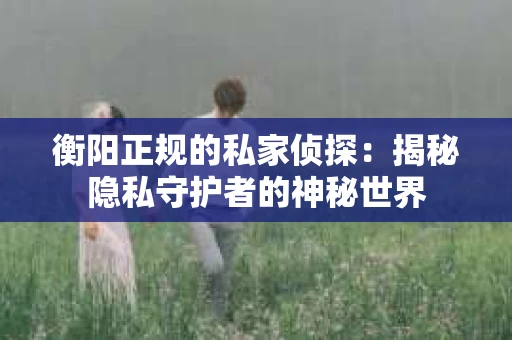衡阳正规的私家侦探：揭秘隐私守护者的神秘世界