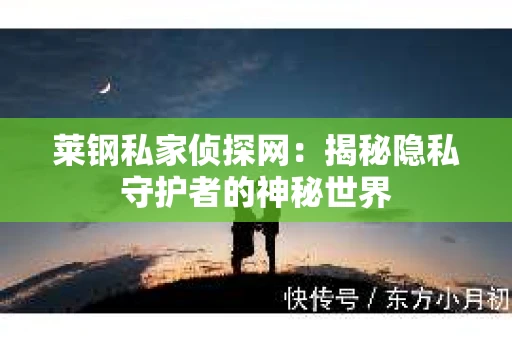 莱钢私家侦探网：揭秘隐私守护者的神秘世界