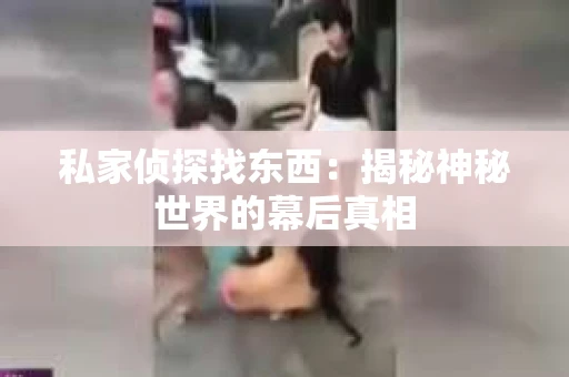 私家侦探找东西：揭秘神秘世界的幕后真相