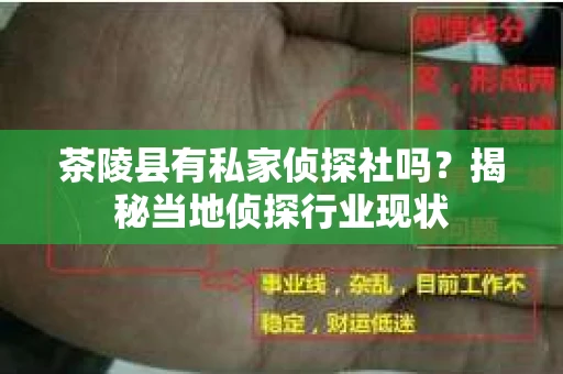 茶陵县有私家侦探社吗？揭秘当地侦探行业现状