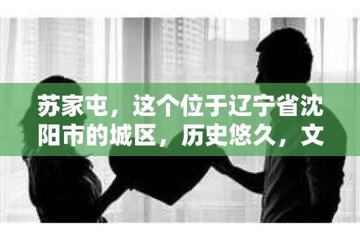 苏家屯，这个位于辽宁省沈阳市的城区，历史悠久，文化底蕴深厚。近年来，随着社会的发展，人们对于私家侦探的需求也逐渐增加。那么，苏家屯有私家侦探吗？今天，我们就来聊聊这个话题。