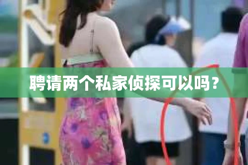 聘请两个私家侦探可以吗？