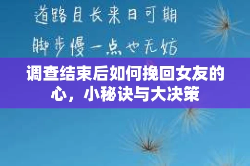 调查结束后如何挽回女友的心，小秘诀与大决策
