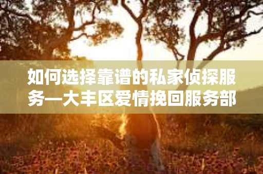 如何选择靠谱的私家侦探服务—大丰区爱情挽回服务部选择指南