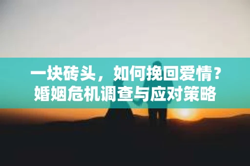 一块砖头,如何挽回爱情?婚姻危机调查与应对策略 一块砖头,如何挽回爱情?婚姻危机调查与应对策略