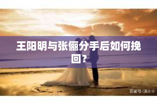 王阳明与张俪分手后如何挽回？
