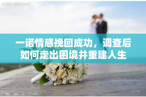 一诺情感挽回成功，调查后如何走出困境并重建人生