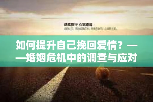如何提升自己挽回爱情？——婚姻危机中的调查与应对策略