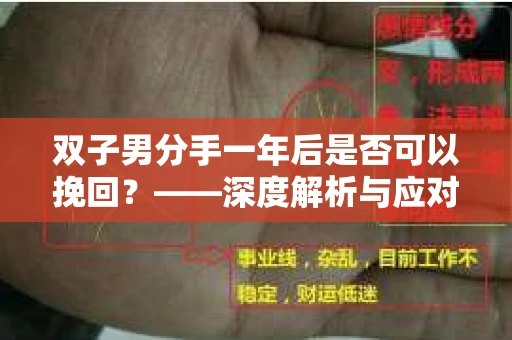 双子男分手一年后是否可以挽回？——深度解析与应对策略